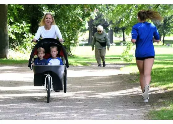 Wike Salamander - Sähkötavarapyörä Ja Lastenrattaat - Image 5