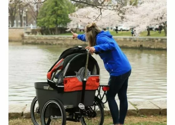 Wike Salamander - Sähkötavarapyörä Ja Lastenrattaat - Image 4