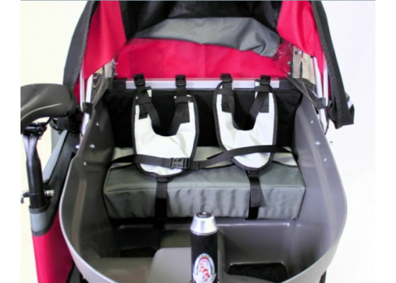 Wike Salamander - Sähkötavarapyörä Ja Lastenrattaat - Image 9