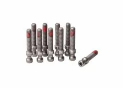 Magura Pikalukitusruuvi, EASY MOUNT, T25 (10kpl)